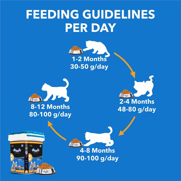 Drools Real Chicken Adult Cat Dry Food | 3 KG
