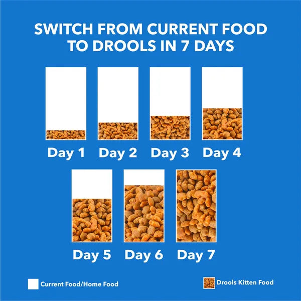 Drools Real Chicken Adult Cat Dry Food | 3 KG