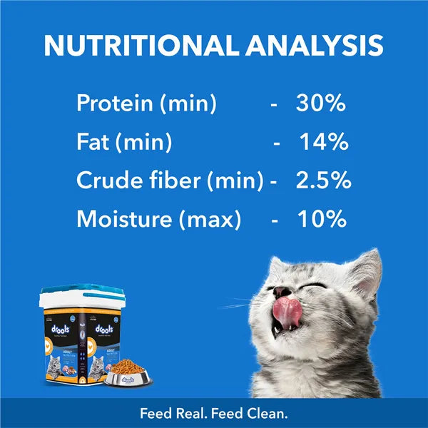Drools Real Chicken Adult Cat Dry Food | 3 KG