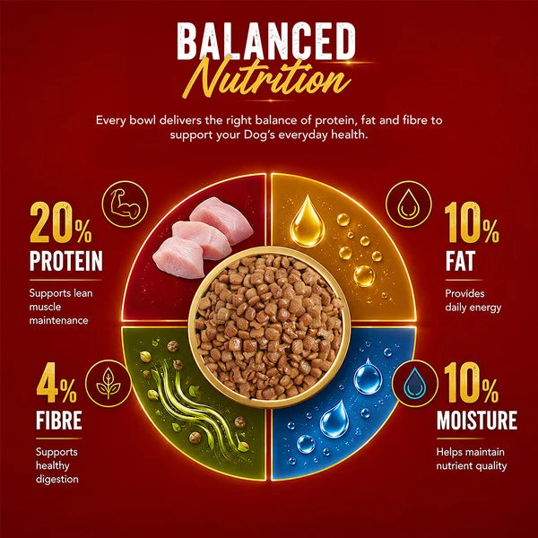 Drools Chicken and Egg Adult Dog Dry Food