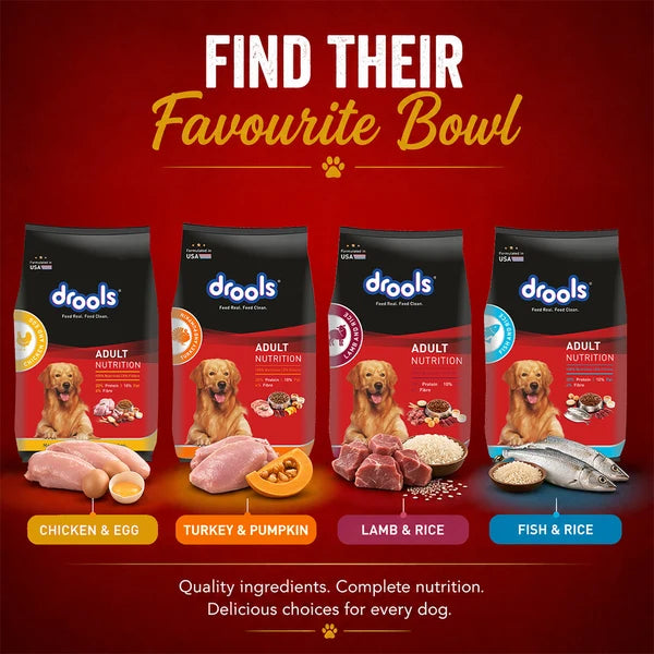 Drools Chicken and Egg Adult Dog Dry Food